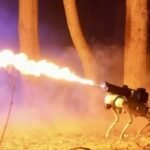 Cão-robô com lança-chamas está à venda nos EUA