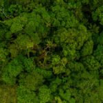 Cientistas da UEA e do Reino Unido publicam estudo sobre geração de chuvas na Amazônia