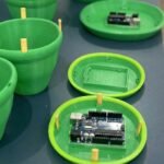 Startup do Tocantins desenvolve armadilha de controle biológico do mosquito da dengue