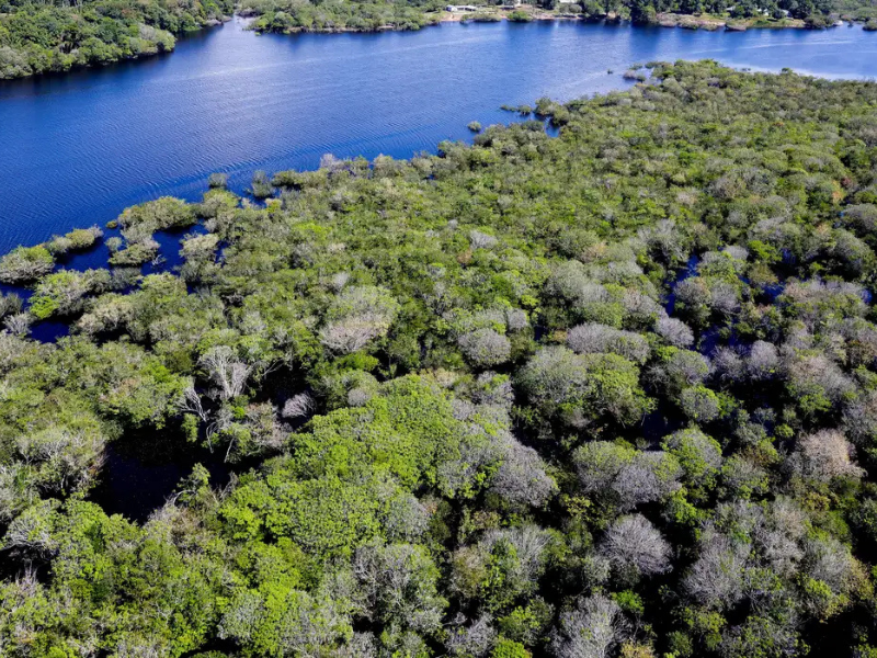 Governo federal abre inscrições para seleção de entidades que atuarão no controle do desmatamento na Amazônia