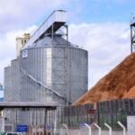 Exportação de grãos cresce 34,1% em 2025, aponta CDSA