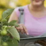 Inova Amazônia leva cinco negócios de MT à vitrine internacional da bioeconomia