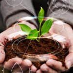 CBA consolida nova fase e amplia parcerias na bioeconomia amazônica