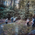 Dia das Florestas: pesquisador da UFPA destaca papel da Amazônia para o clima e a vida