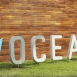 Samsung Ocean abre quatro novos cursos de tecnologia e inovação; saiba quais