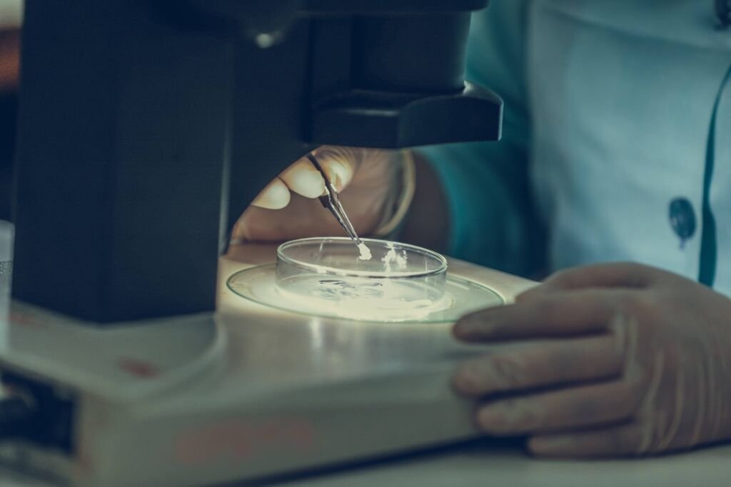 Fapeam abre as inscrições para editais na Ciência, Tecnologia e Inovação