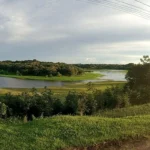 Careiro Castanho no Amazonas tem edital para concessão florestal com R$ 77 milhões em investimentos