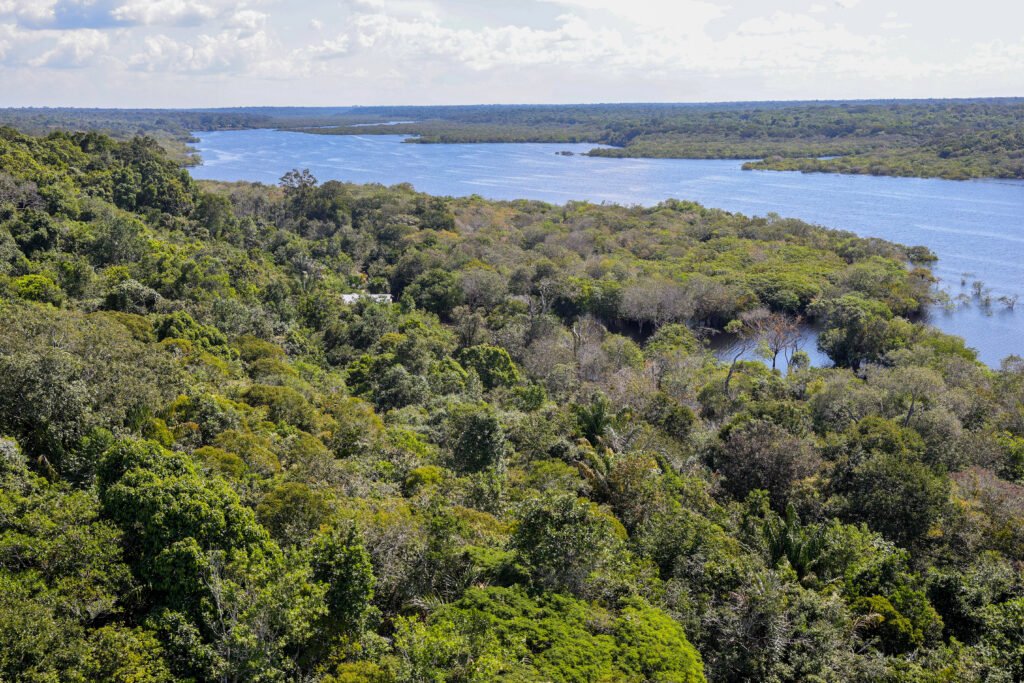 Fundo Amazônia direciona R$ 350 mi para impulsionar sociobioeconomia e inovação na Amazônia Legal