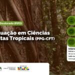 Inpa abre seleção para bolsa de pós-doutorado em Ciências de Florestas Tropicais