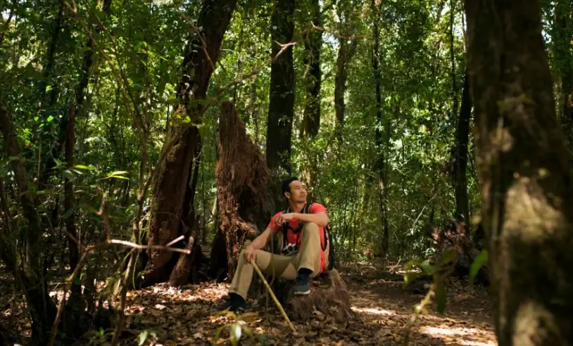 Inova Amazônia Summit conecta biodiversidade, inovação e negócios sustentáveis no Acre