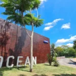 Samsung tem mais de 40 cursos gratuitos para o Amazonas